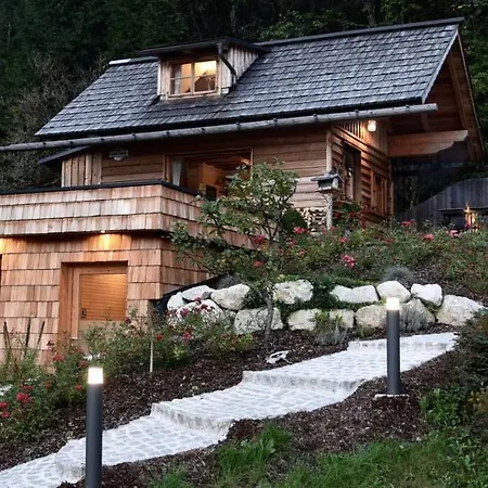 Xeishittn Sternennest *