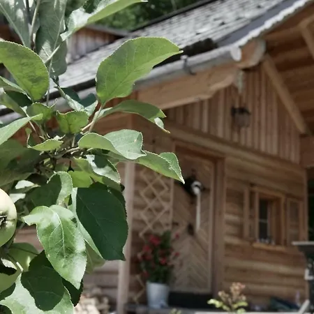 Xeishittn Sternennest