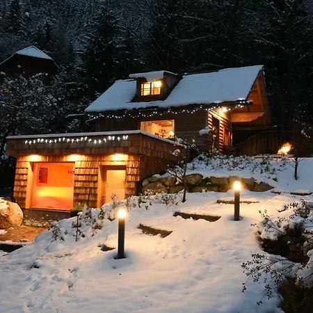 Xeishittn Sternennest *