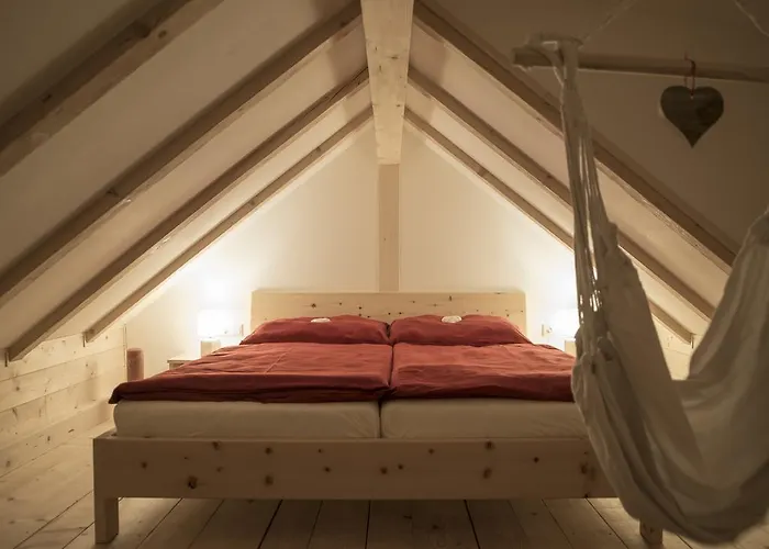 Xeishittn Sternennest *