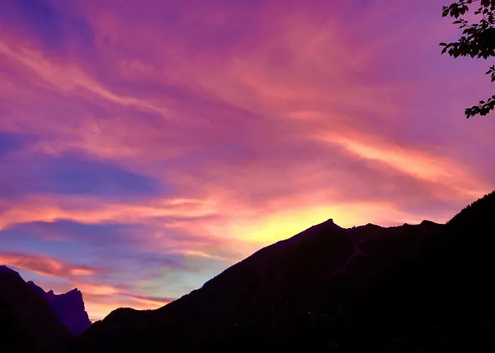 Xeishittn Sternennest