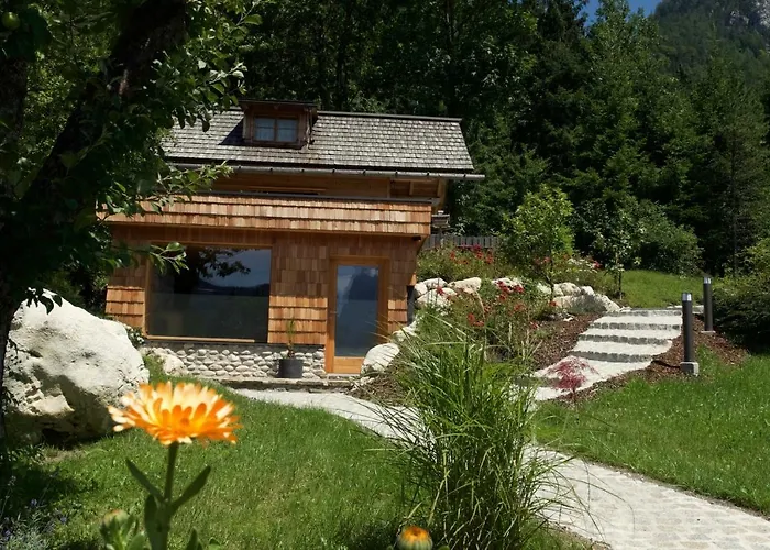 Xeishittn Sternennest *