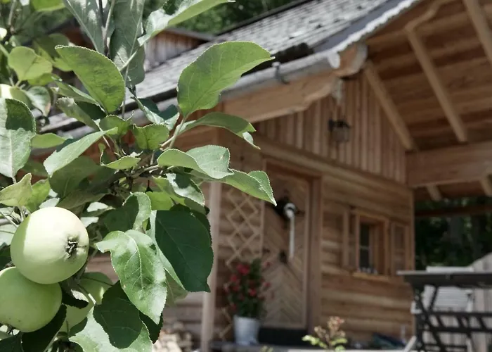 Xeishittn Sternennest